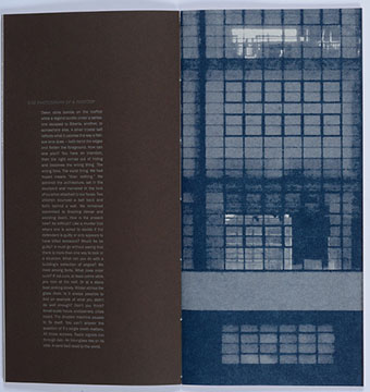 Ken Botnick: Mary Jo Bang - the illusion of physicality
(The Bauhaus-Book)