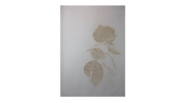 Bowen, Sian: Sensing and Presencing After Hortus Malabaricus