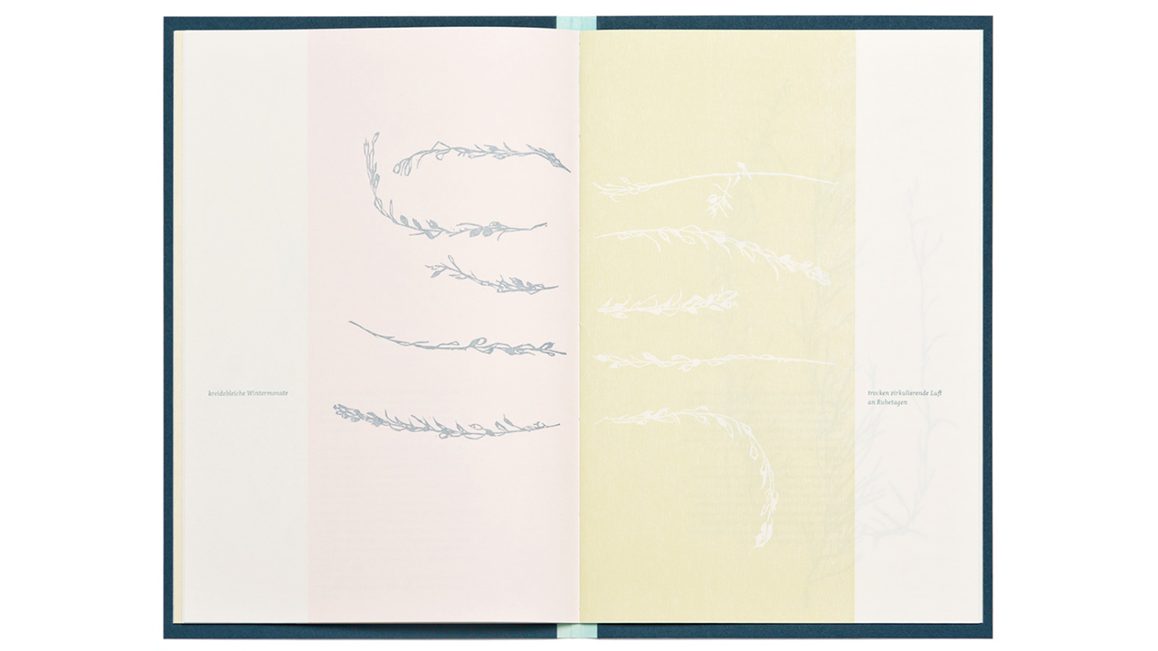 Mahn, Jule Claudia: aufräumen & abschließen