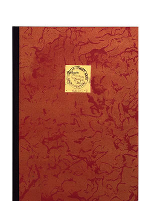 Silverberg, Robbin Ami; Just 30 Words (2005)