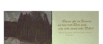 Deeg, Daniela / Lollis, Cynthia; Viel Glück (2007)