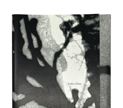 Deeg, Daniela / Lollis, Cynthia; Enten/Eller (2009)