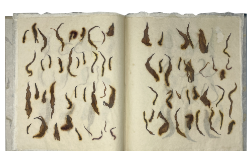 Silverberg, Robbin Ami; Garden Glyphs (2014)