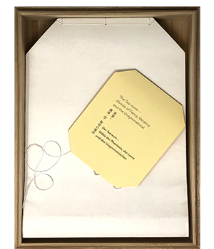 Ota, Yasutomo; Der Teeraum - Stätte der Phantasie, der Leere und des Unsymmetrischen (2015)