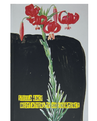 Bach, Stella; Meditations in an Emergency  (2024)