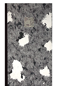 Silverberg, Robbin Ami; Haiku de Nuit (2015)