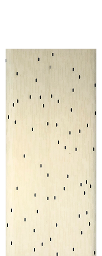 Schäpers, Veronika; Weiße Verben (2017)