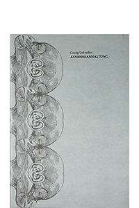 Lebzelter, Georg; Ausreiseanhaltung (2018)