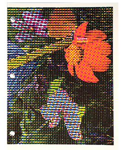 Meador, Clifton; One Hundred Excellent Flowers (2019)