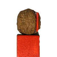 Böröcz, András; Nutcase 2 (2020)