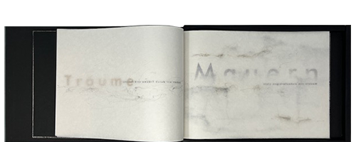 Müller-Fries, Eberhard; Wie Nebelwesen 5 (2023)