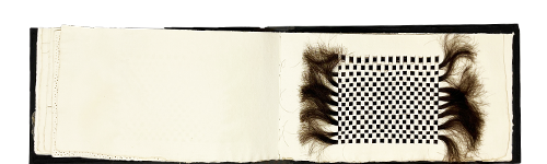 Silverberg, Robbin Ami; Emperor's Clothes (1997)