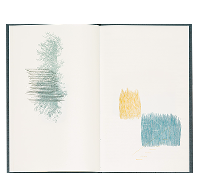 Mahn, Jule Claudia; bergen / salvage (2016)