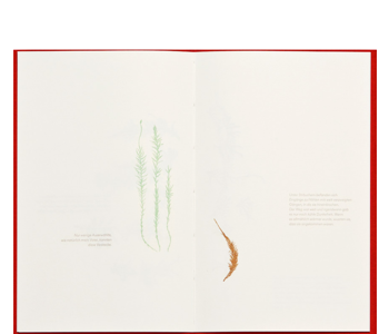 Mahn, Jule Claudia; Verwandte Kinder / Related Children (2014)