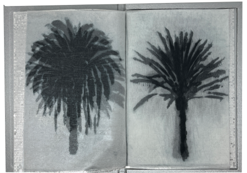 Pauwels, Nora; 16 PALMS (2022)