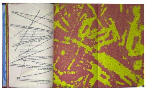 Silverberg, Robbin Ami; La durée réelle: make this cut first (2024/25)