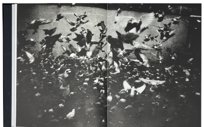 Daufresne, Damien; Undertow (2022)