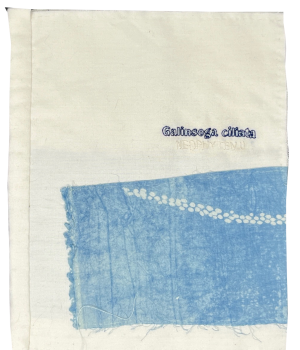 Dimova, Katya; Galinsoga cilliata (2023)