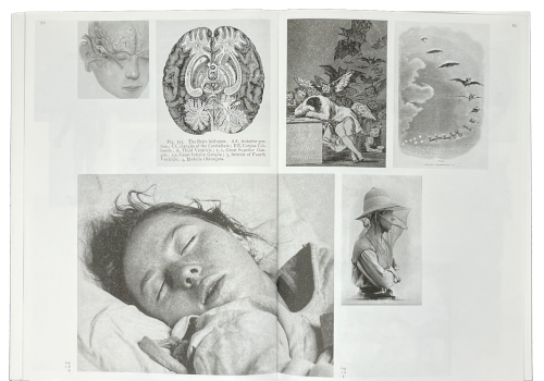 Gunnesch, Stefan; 26.928 (Schlaf) (2025)