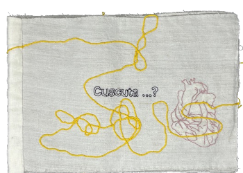 Dimova, Katya; Cuscuta...? (2025)