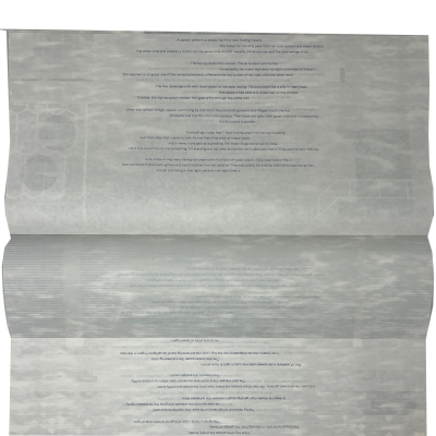 Mahn, Jule Claudia; Stadt im Nebel / City in the Fog (2026)