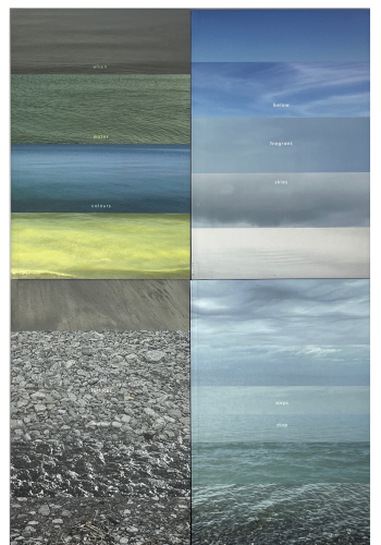 MacCallum, Marlene; where steps stop (2023)