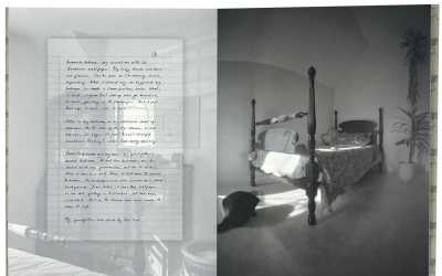 MacCallum, Marlene; Wall Stories (2014)