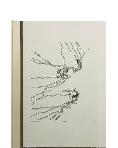 Belz, Ulysses; Die Ewigkeit ist ein spielendes Kind auf dem Thron (2000)