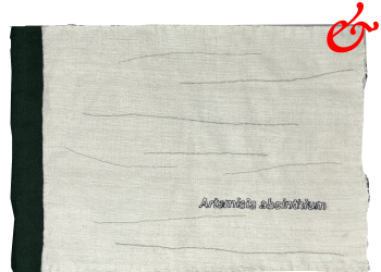 Dimova, Katya; Artemisia absinthum (2026) Dimova, Katya; Artemisia absinthum (2026)